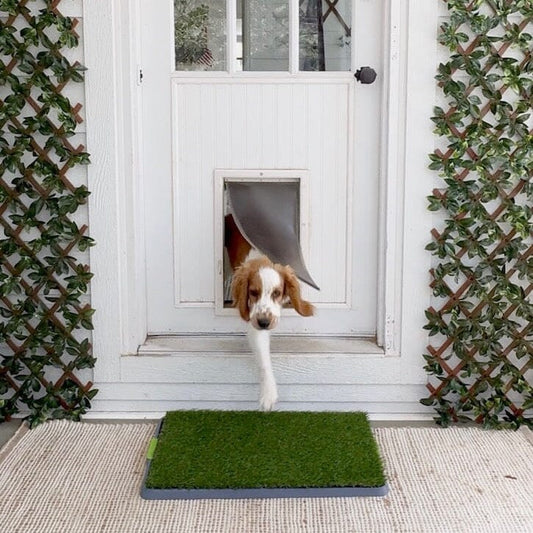 Artificial pet potty grass training pad by Nearly Natural, green turf on Tampa Home & Garden Store