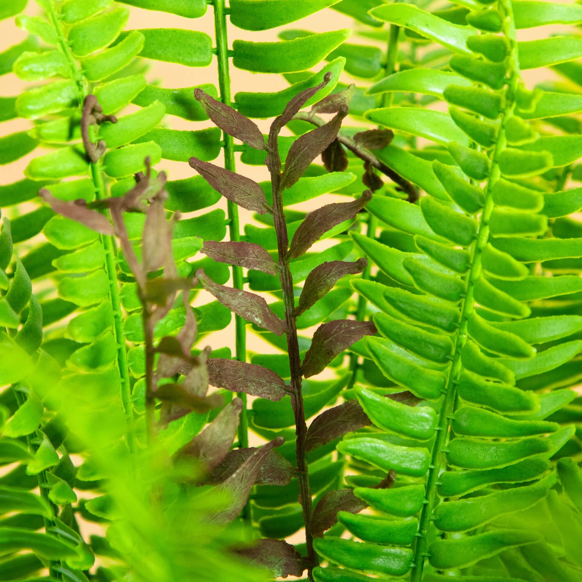 27-in UV resistant artificial Boston Fern Plant with lush green fronds indoor/outdoor on Tampa Home & Garden Store