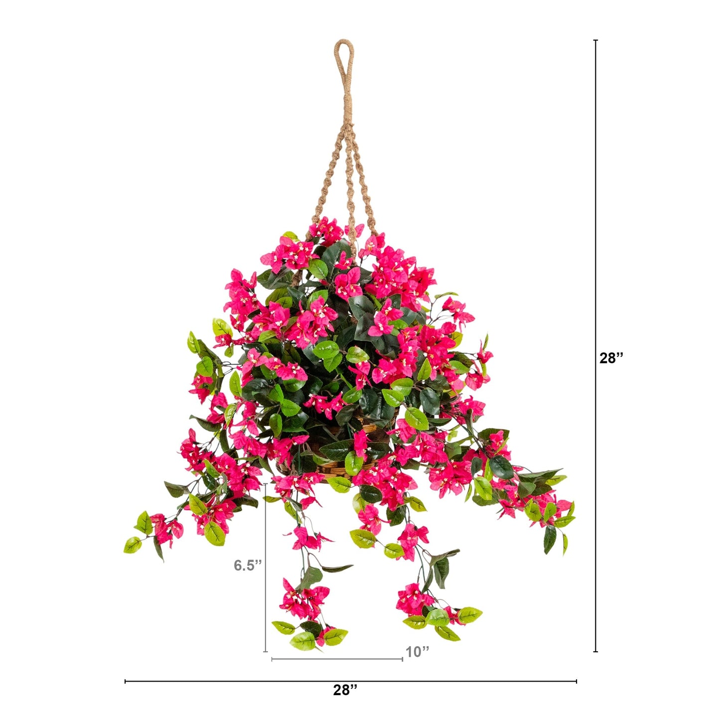 Bougainvillea Hanging Basket UV Resistant