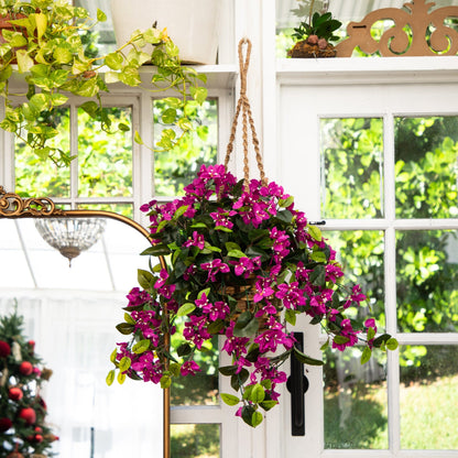 Bougainvillea Hanging Basket UV Resistant