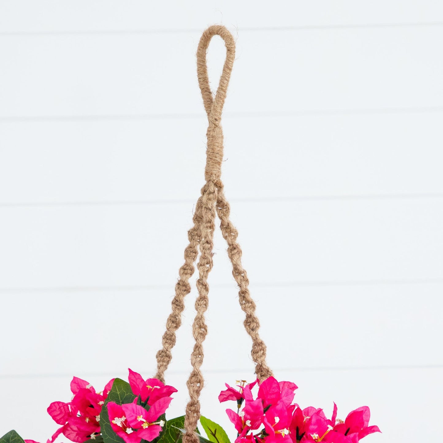 Bougainvillea Hanging Basket UV Resistant