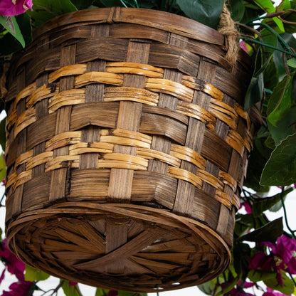 Bougainvillea Hanging Basket UV Resistant