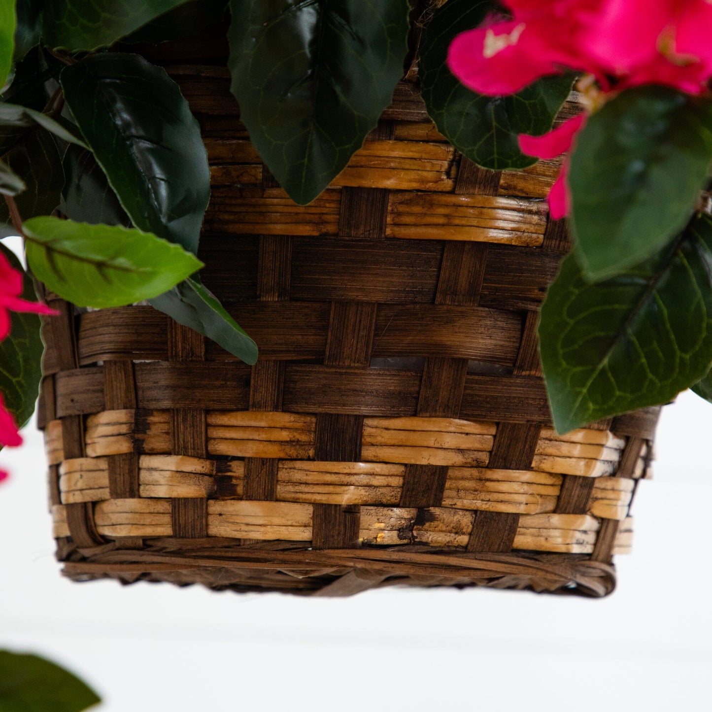 Bougainvillea Hanging Basket UV Resistant