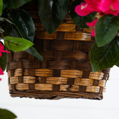 Bougainvillea Hanging Basket UV Resistant