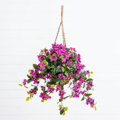Bougainvillea Hanging Basket UV Resistant