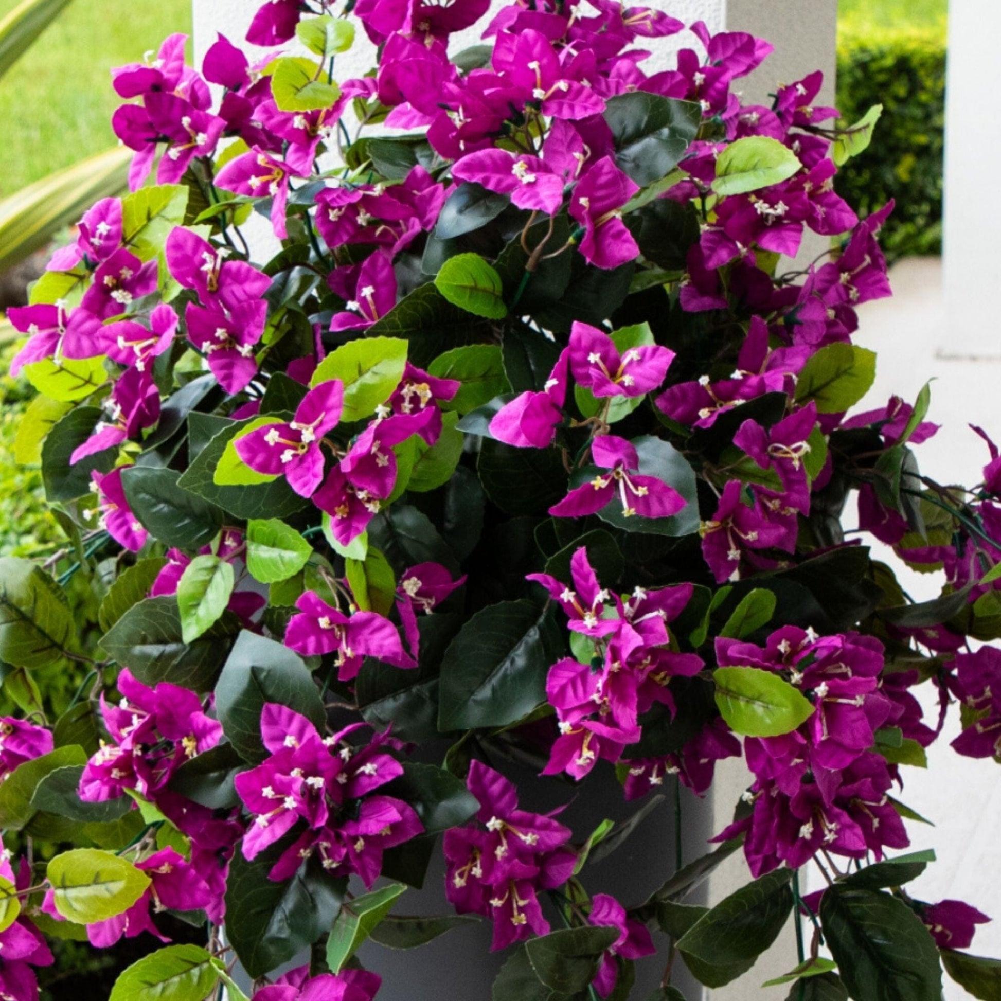 Hanging bougainvillea plant, 28in UV-resistant artificial, set of 2 magenta blooms, Nearly Natural on Tampa Home & Garden Store