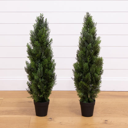 3 Mini Cedar Pine Tree for Indoor and Outdoor Use