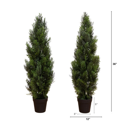 3 Mini Cedar Pine Tree for Indoor and Outdoor Use