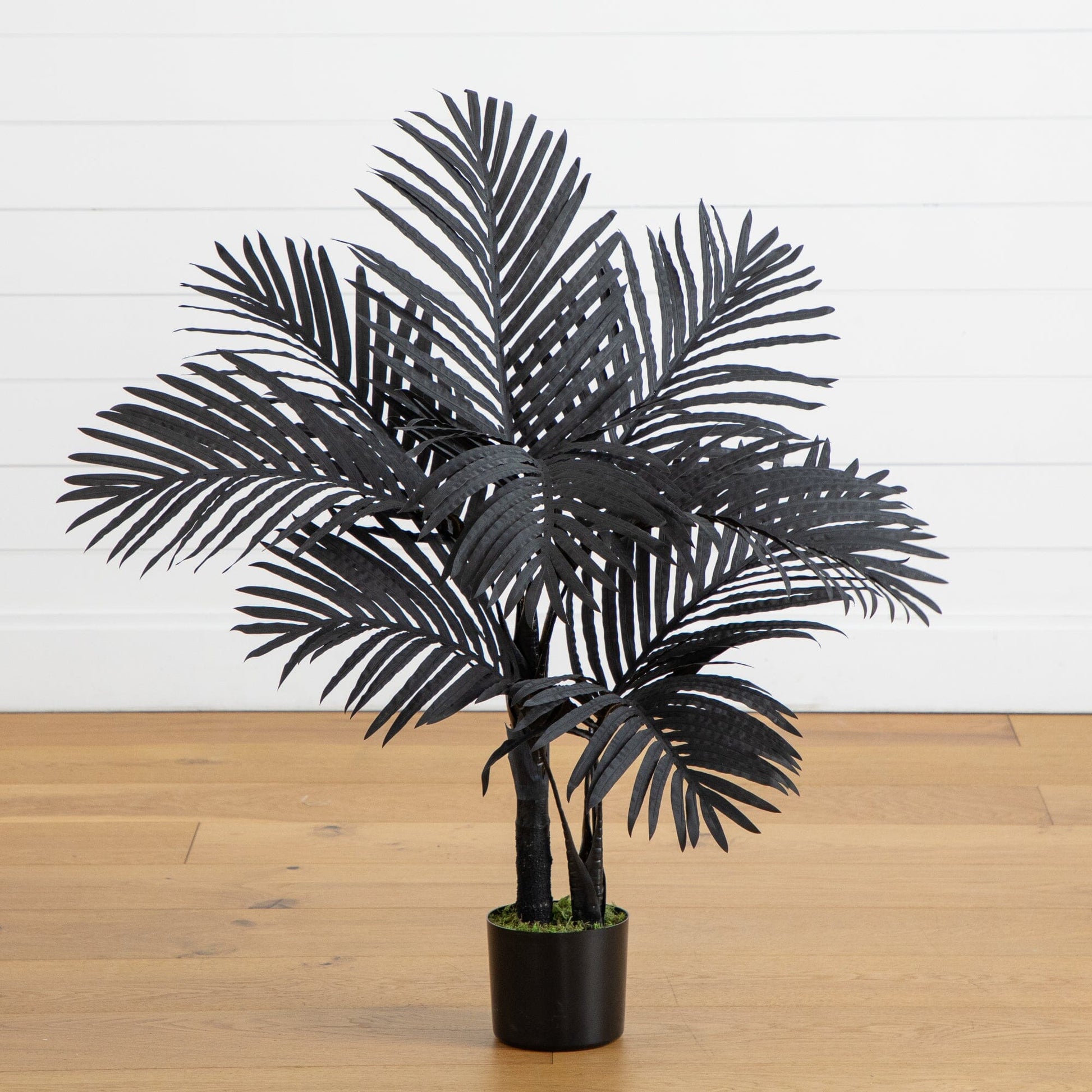 3' Artificial Halloween Black Golden Cane Tree with palm fronds in a pot Nearly Natural on Tampa Home & Garden Store