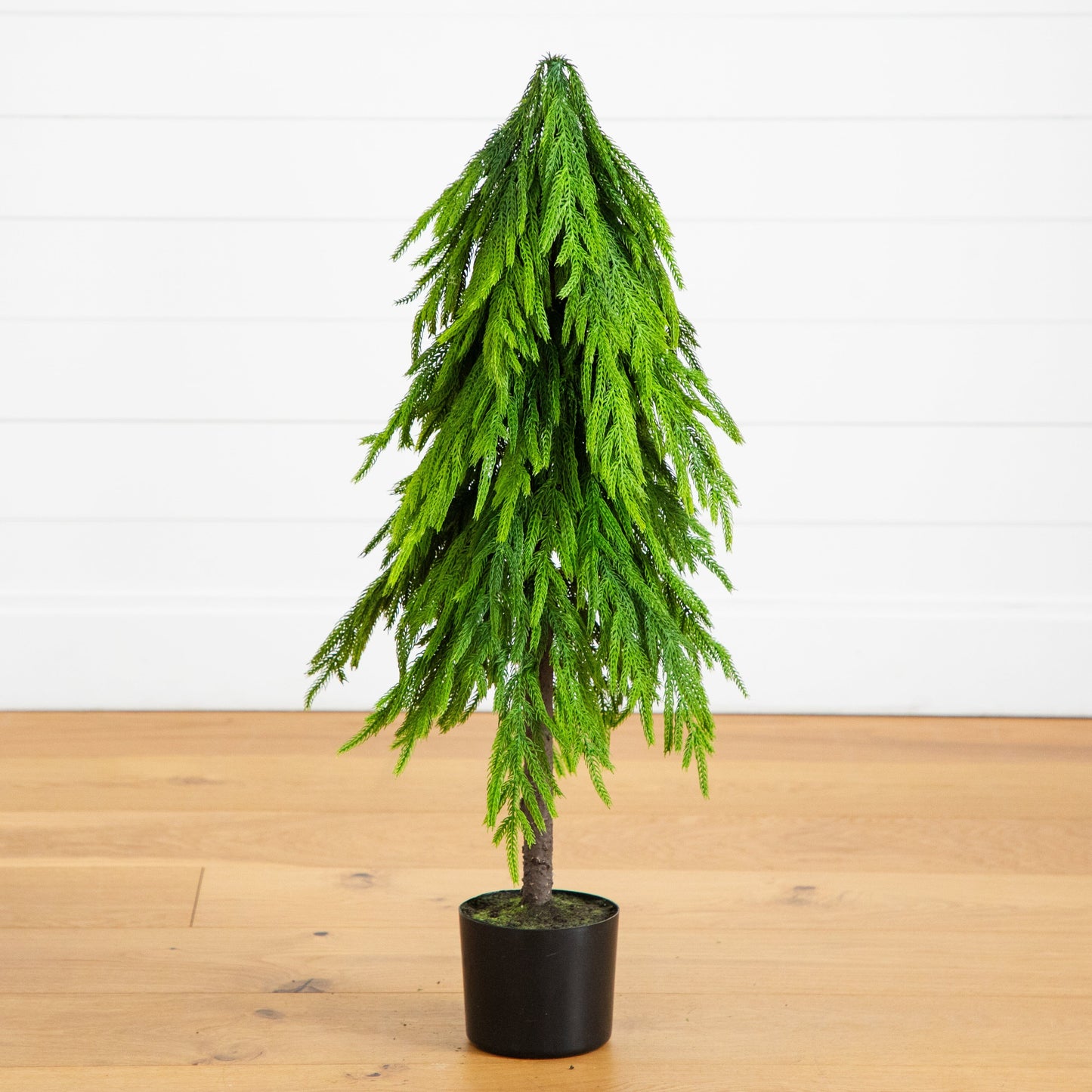 3' artificial Norfolk Pine Tree with Real Touch foliage in black pot on Tampa Home & Garden Store