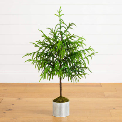 3' artificial Norfolk Island Pine by Nearly Natural in a metal tin planter with moss on Tampa Home & Garden Store