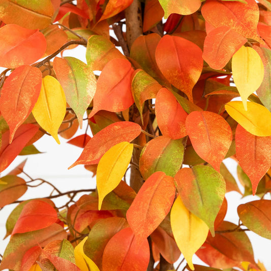 3’ Autumn Ficus Artificial Fall Tree - Tampa Home & Garden Store
