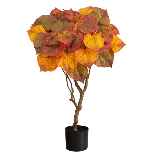 3’ Autumn Umbrella Ficus Tree - Tampa Home & Garden Store
