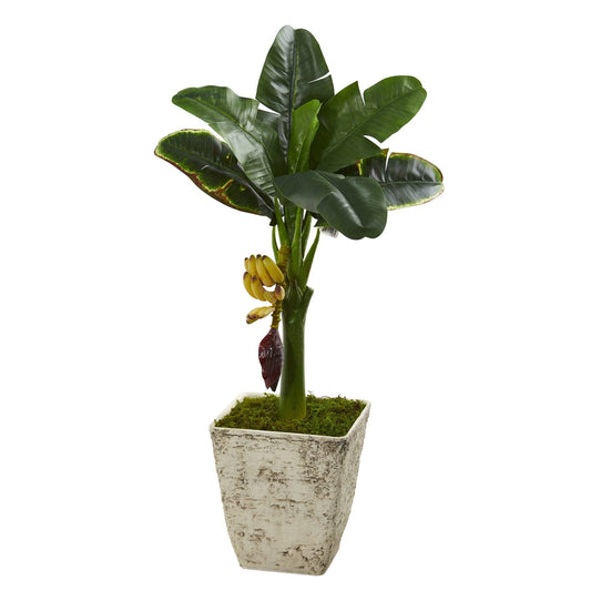 3 ft Banana artificial tree with green leaves and banana bunch in country white planter on Tampa Home & Garden Store