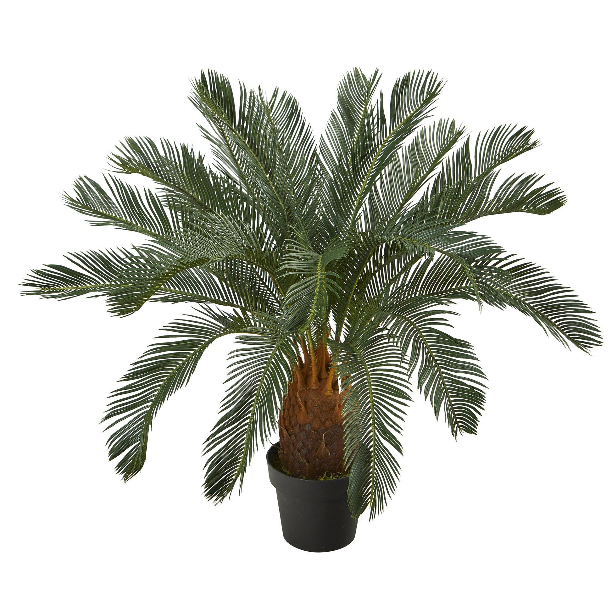 3’ Cycas artificial tree by Nearly Natural with dark green fronds in a black pot on Tampa Home & Garden Store