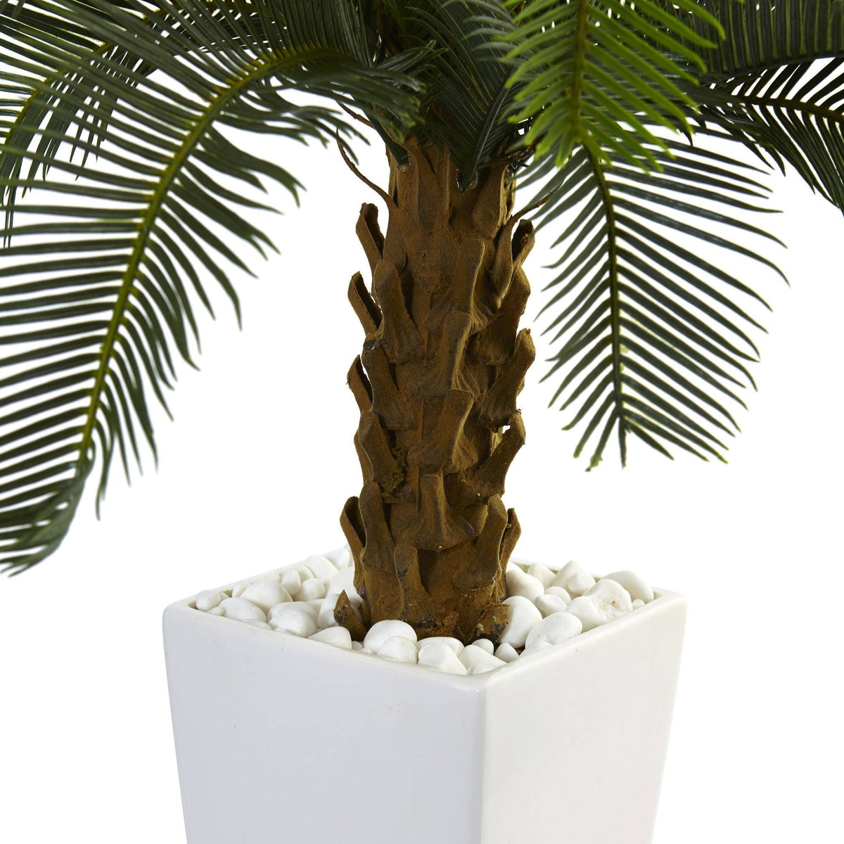 3 ft Cycas tree in white tower planter with green fronds and white stones on Tampa Home & Garden Store