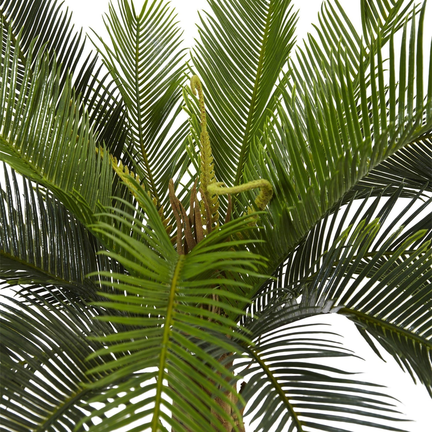 3’ Cycas Tree in Wood Planter artificial tree by Nearly Natural with green fronds on Tampa Home & Garden Store