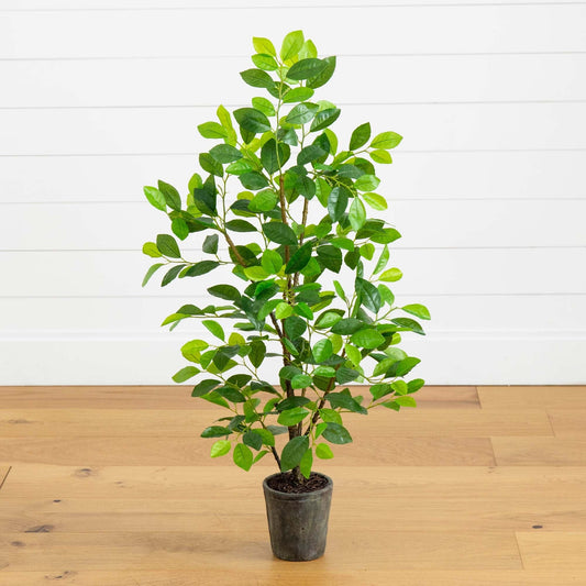 3’ Ficus Artificial Tree in Planter - Tampa Home & Garden Store