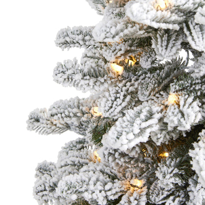 3’ flocked North Carolina fir artificial Christmas tree with 150 warm white lights on Tampa Home & Garden Store