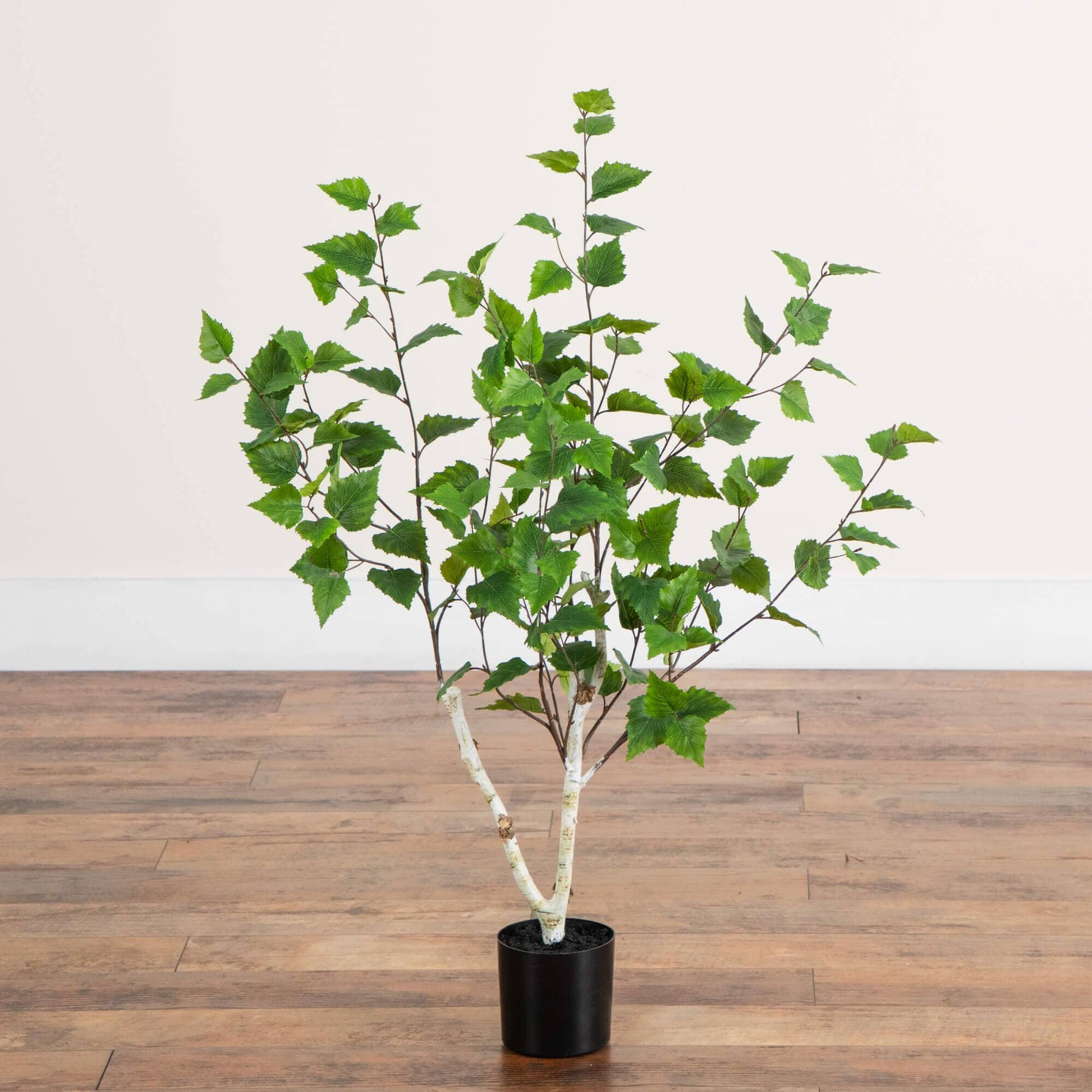 3' Artificial Birch Tree by Nearly Natural in a black pot with lush green leaves on Tampa Home & Garden Store