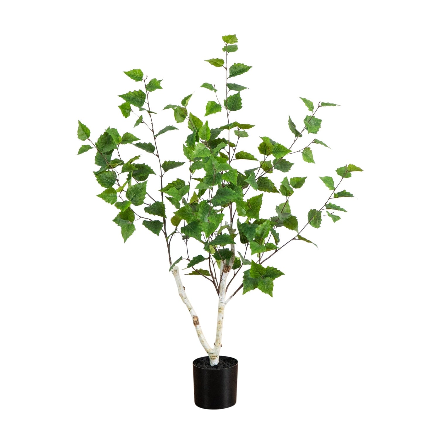 3' Artificial Birch Tree Nearly Natural with green leaves in a black pot on Tampa Home & Garden Store