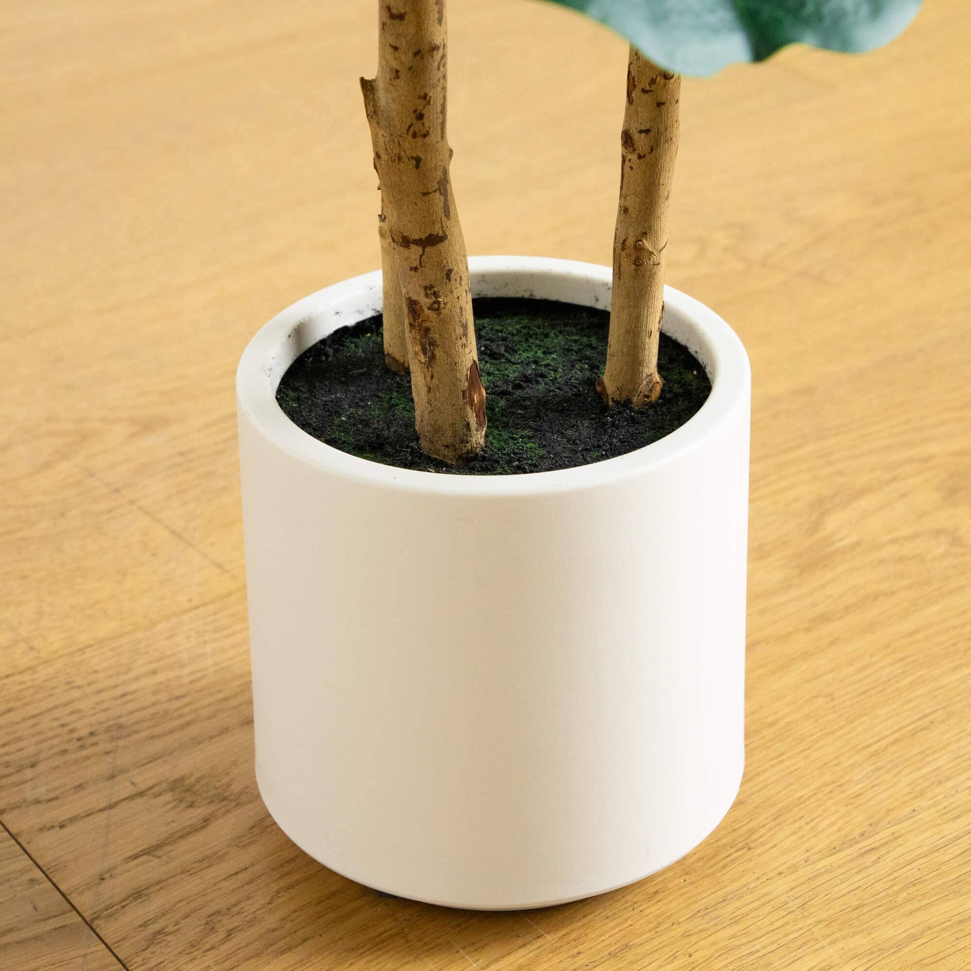 3' artificial fiddle leaf tree in a white planter with two brown trunks and moss on Tampa Home & Garden Store
