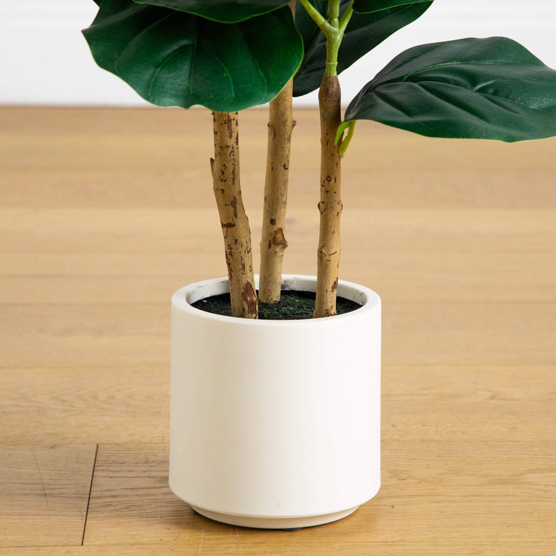 3ft artificial fiddle leaf tree in decorative white planter with brown trunks on Tampa Home & Garden Store