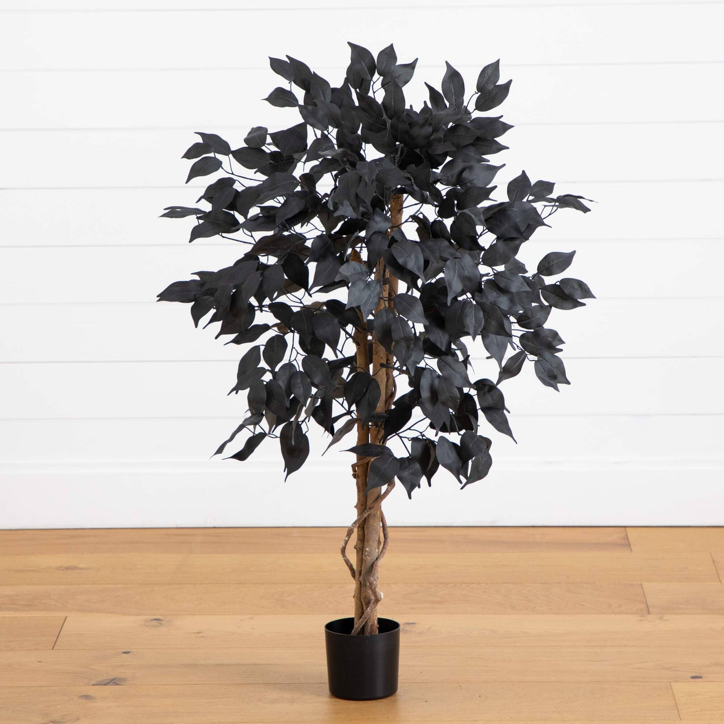 3' artificial Halloween black ficus tree with natural trunk on Tampa Home & Garden Store