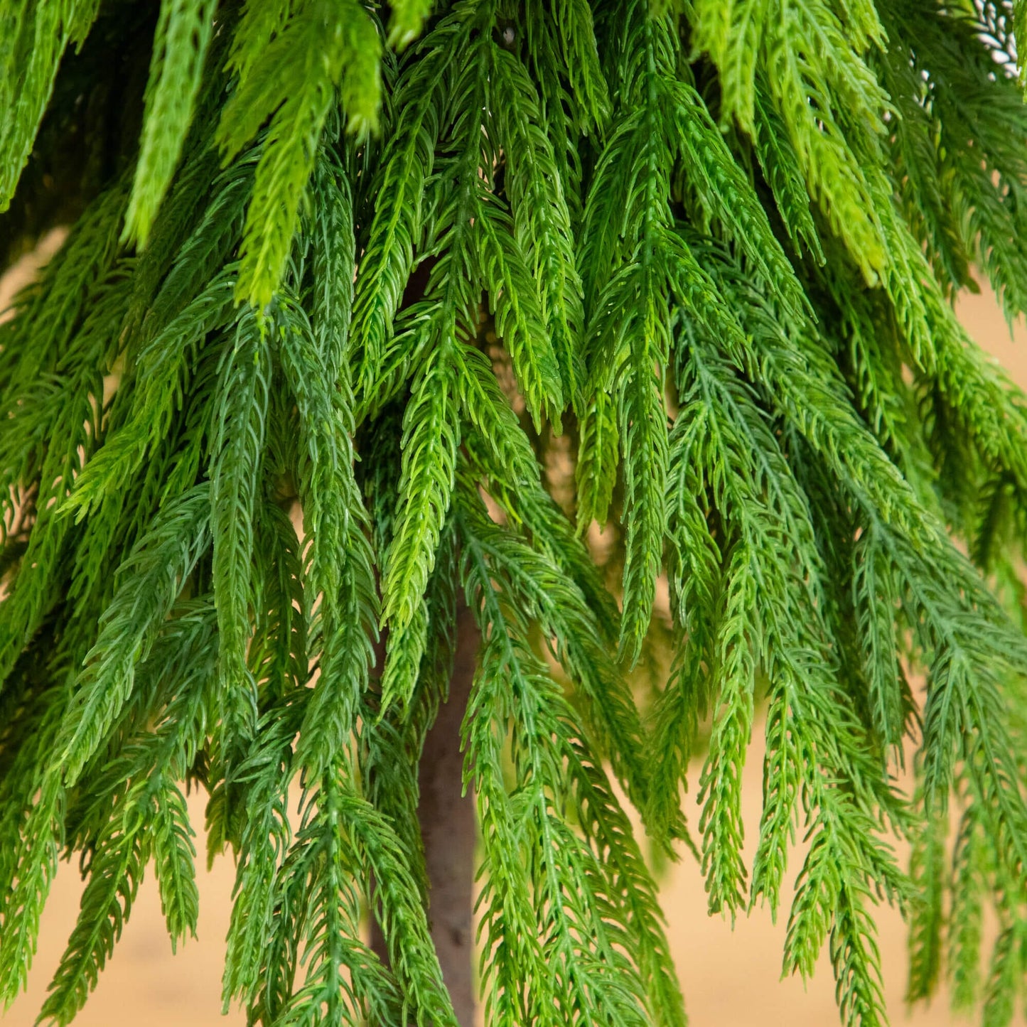 3' artificial Norfolk pine tree with real-touch needles and downward sweeping branches on Tampa Home & Garden Store