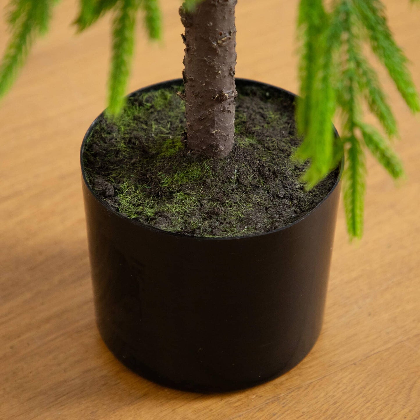 3' Artificial Norfolk Pine Tree by Nearly Natural in black pot with moss soil on Tampa Home & Garden Store