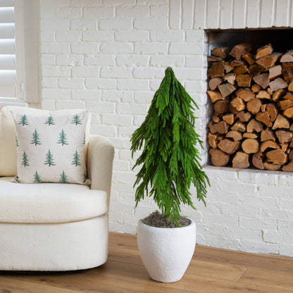 3' Nearly Natural artificial Norfolk pine tree with down swept branches in a white planter on Tampa Home & Garden Store