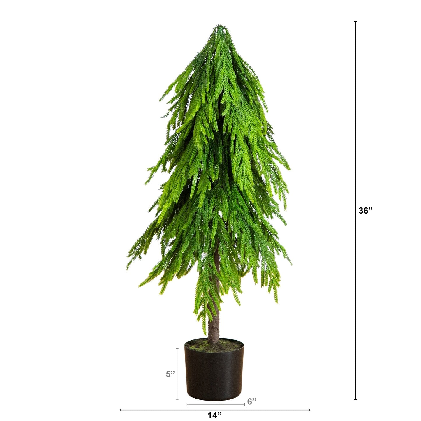 3' artificial Norfolk pine tree with down swept branches by Nearly Natural in brown pot on Tampa Home & Garden Store