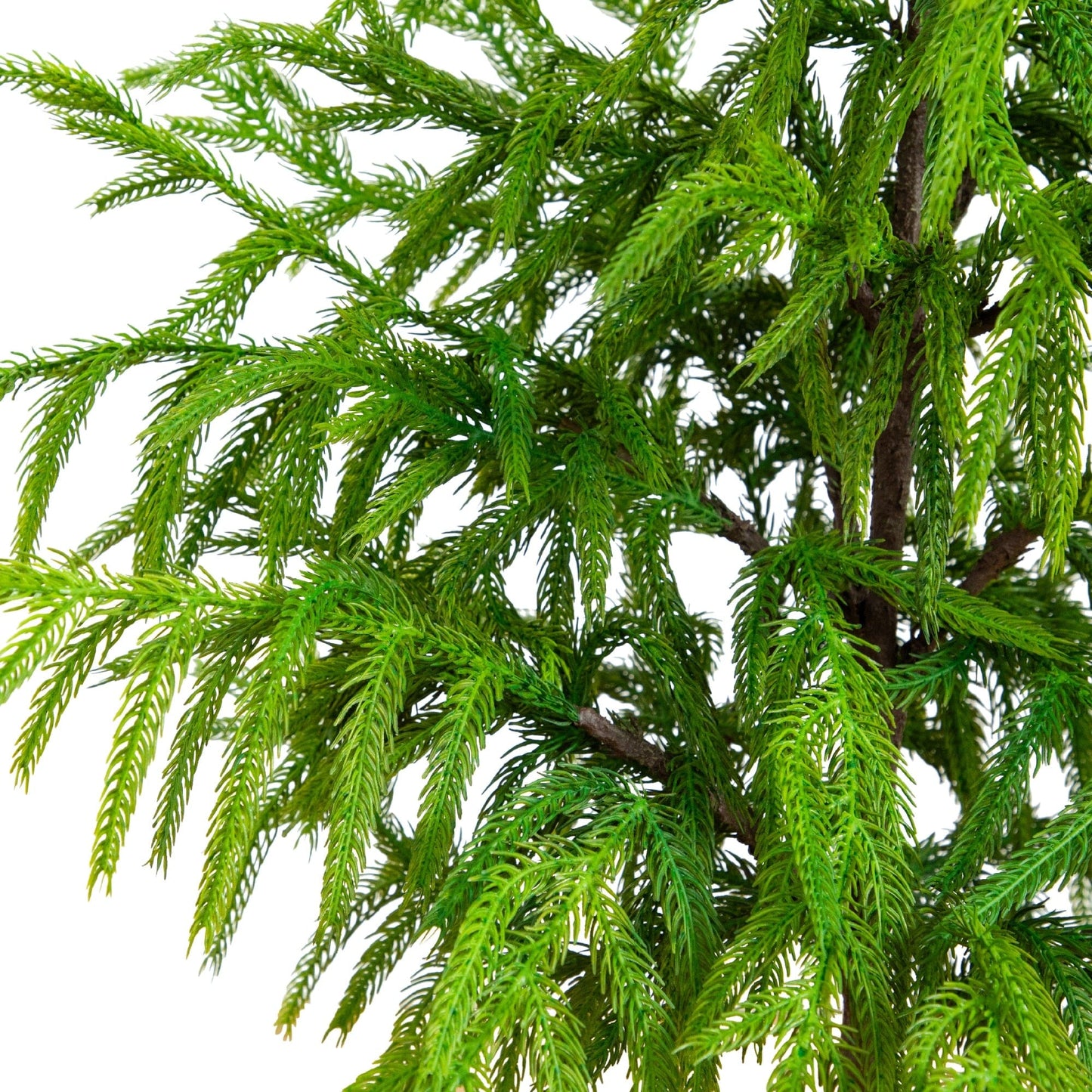 3' Artificial Real Touch Norfolk Island Pine tree in metal tin planter with green needles on Tampa Home & Garden Store