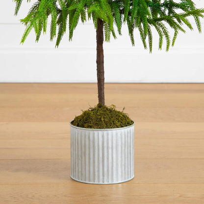 3ft artificial Norfolk Island Pine in a metal tin planter with moss base on Tampa Home & Garden Store
