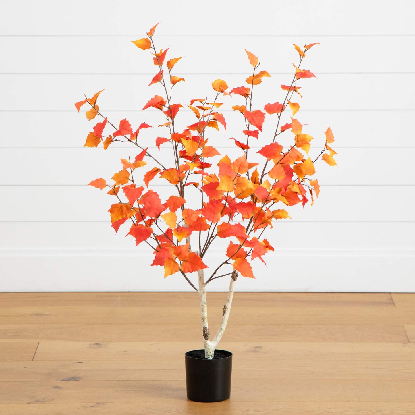 3' Autumn Birch Artificial Fall Tree with orange and red leaves in a black pot on Tampa Home & Garden Store