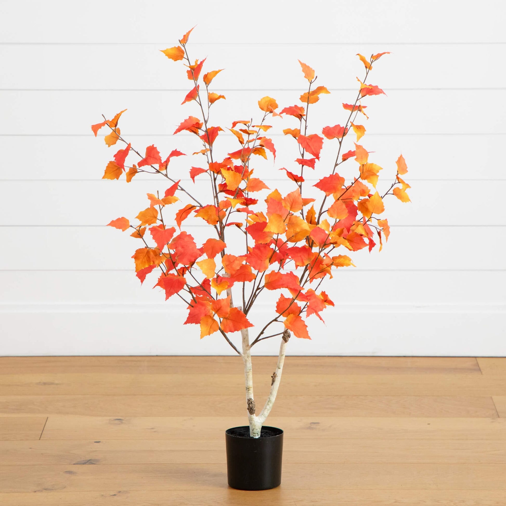 3' Autumn Birch Artificial Fall Tree with orange and red leaves in a black pot on Tampa Home & Garden Store