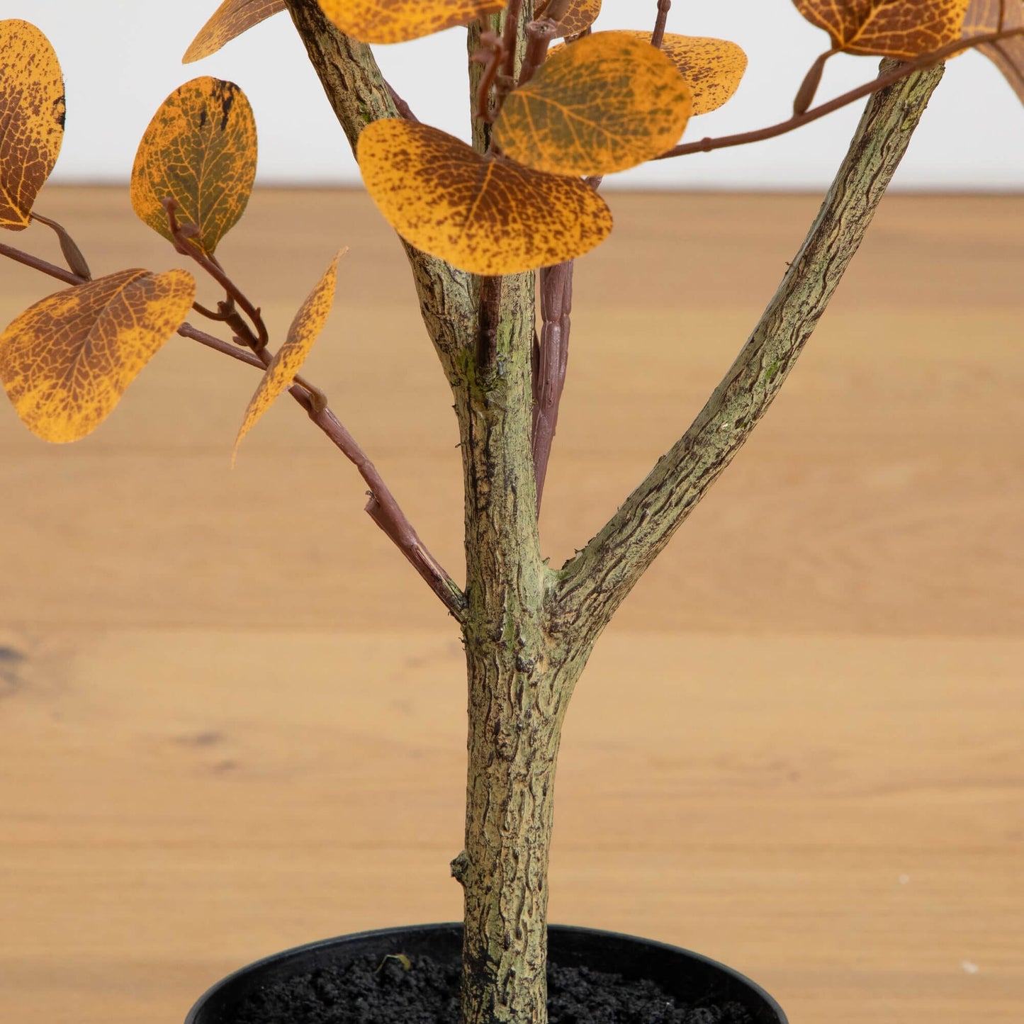 3' Autumn Eucalyptus Artificial Tree yellow-orange speckled leaves on trunk in black pot on Tampa Home & Garden Store