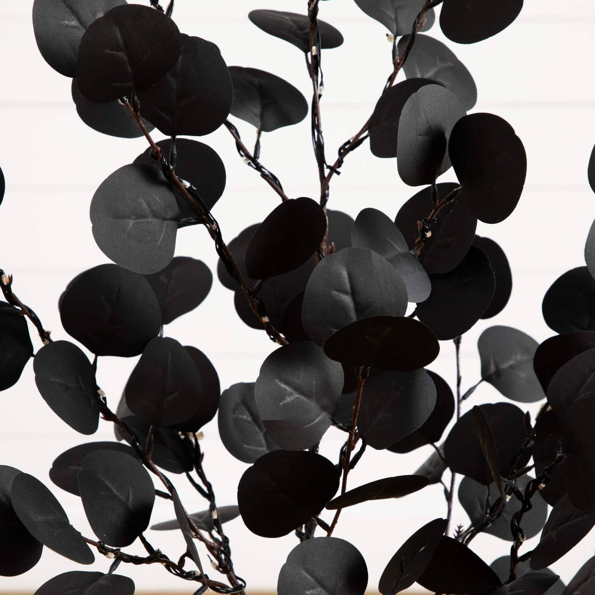 3 ft pre-lit Halloween black eucalyptus tree with 80 orange and purple LEDs on Tampa Home & Garden Store