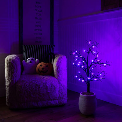 3 ft pre-lit artificial Halloween spider twig tree with 36 purple LEDs in a room beside pumpkins on Tampa Home & Garden Store