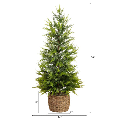 Cypress Christmas tree Nearly Natural 3ft pre-lit snowed with 38 LEDs in a woven basket on Tampa Home & Garden Store