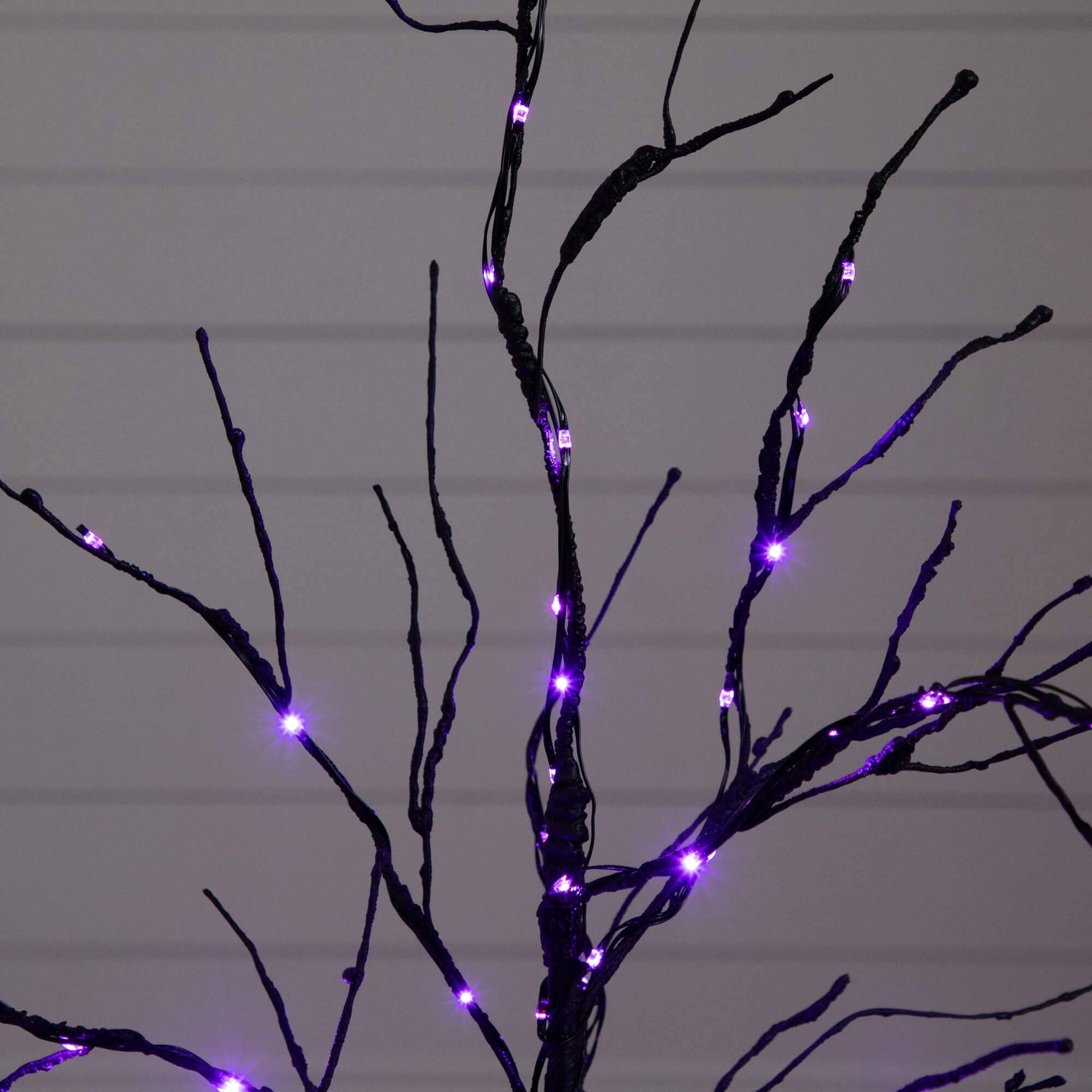 3' Pre-Lit Halloween Black Twig Artificial Tree with orange & purple LEDs by Nearly Natural on Tampa Home & Garden Store