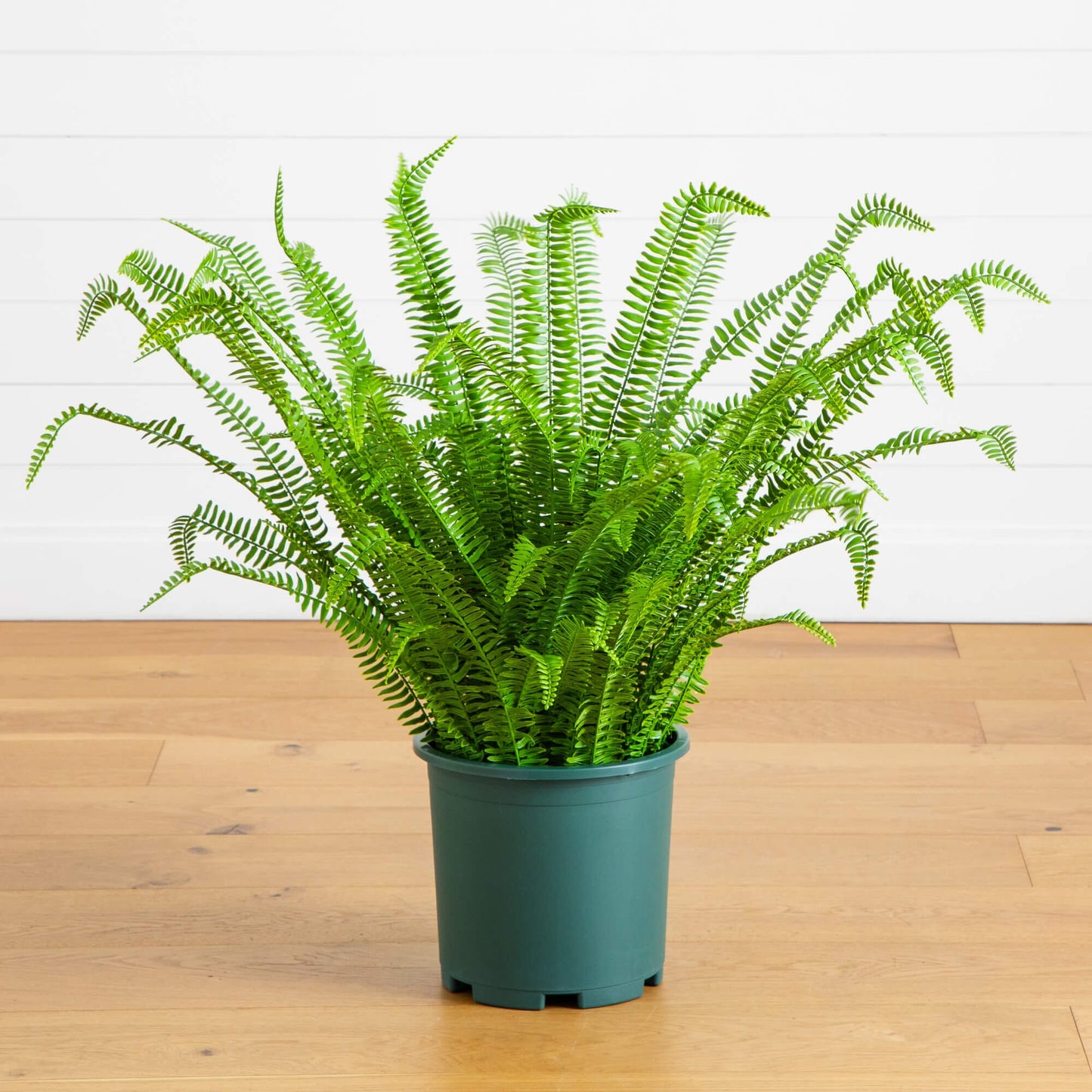 Artificial Boston fern plant Nearly Natural, 3 ft UV resistant, indoor/outdoor in green pot on Tampa Home & Garden Store