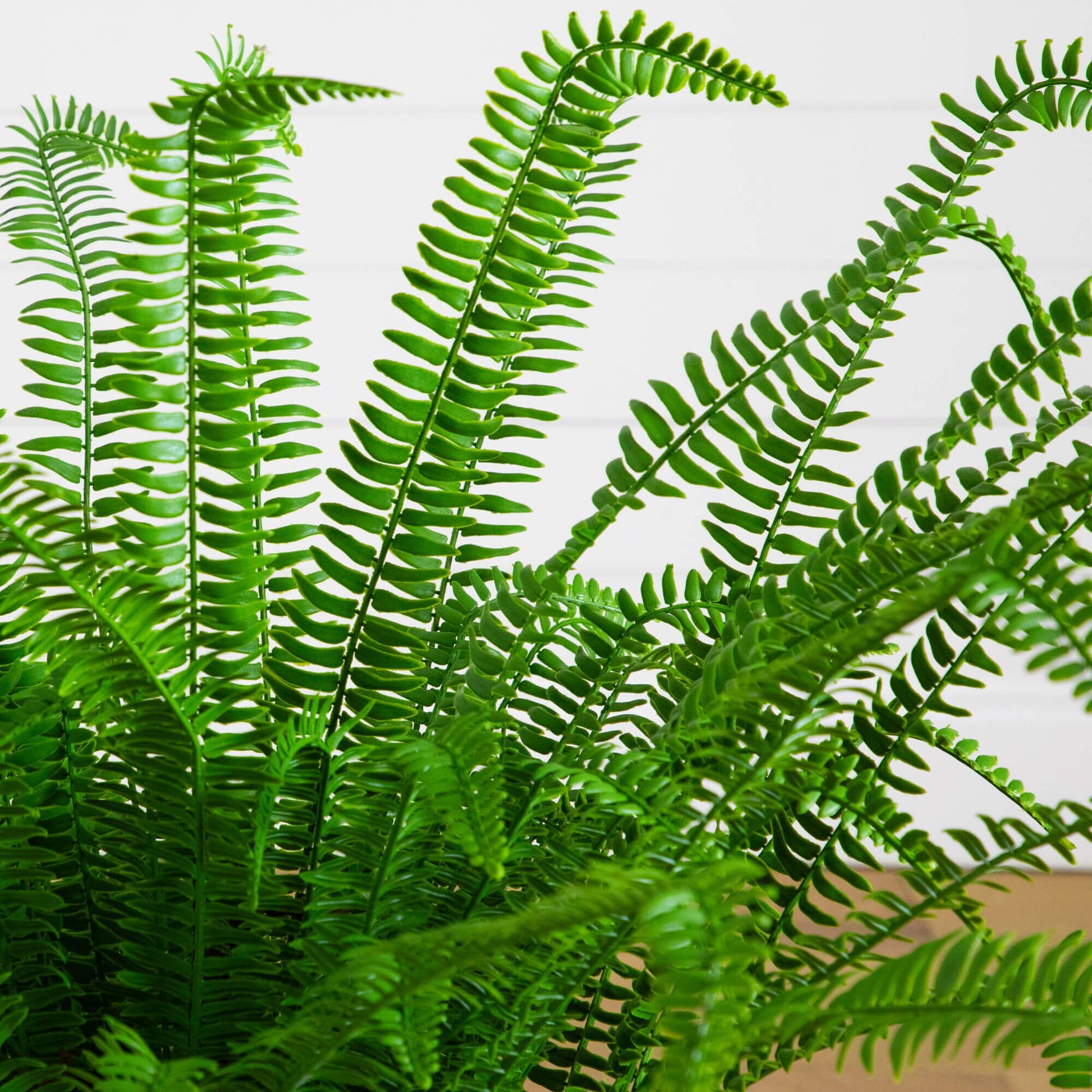 Artificial Real Touch Boston fern plant, 3-ft UV resistant indoor/outdoor by Nearly Natural on Tampa Home & Garden Store