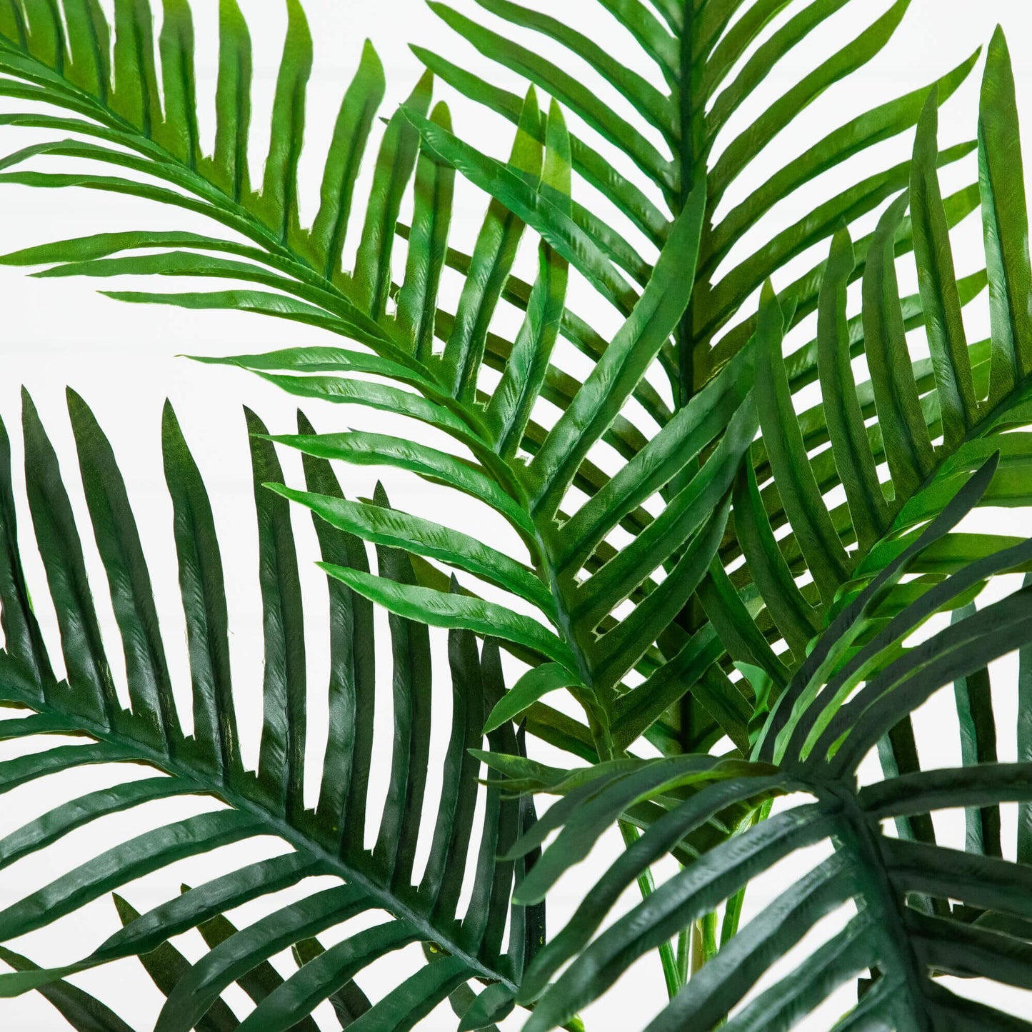 Artificial Double Robellini Palm Tree fronds green UV resistant on Tampa Home & Garden Store