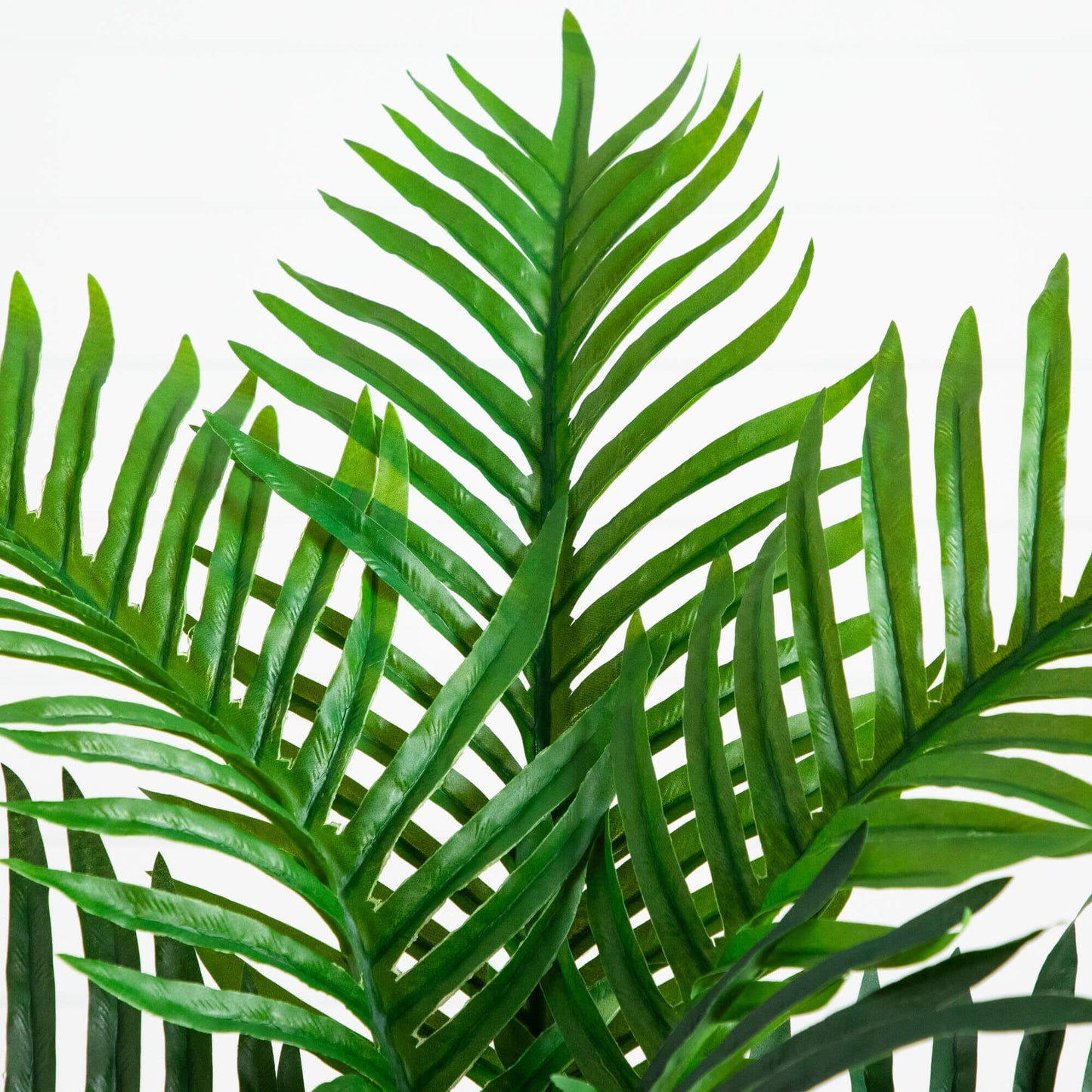 Artificial Double Robellini Palm Tree leaves, 3 ft, green, UV resistant, Nearly Natural on Tampa Home & Garden Store