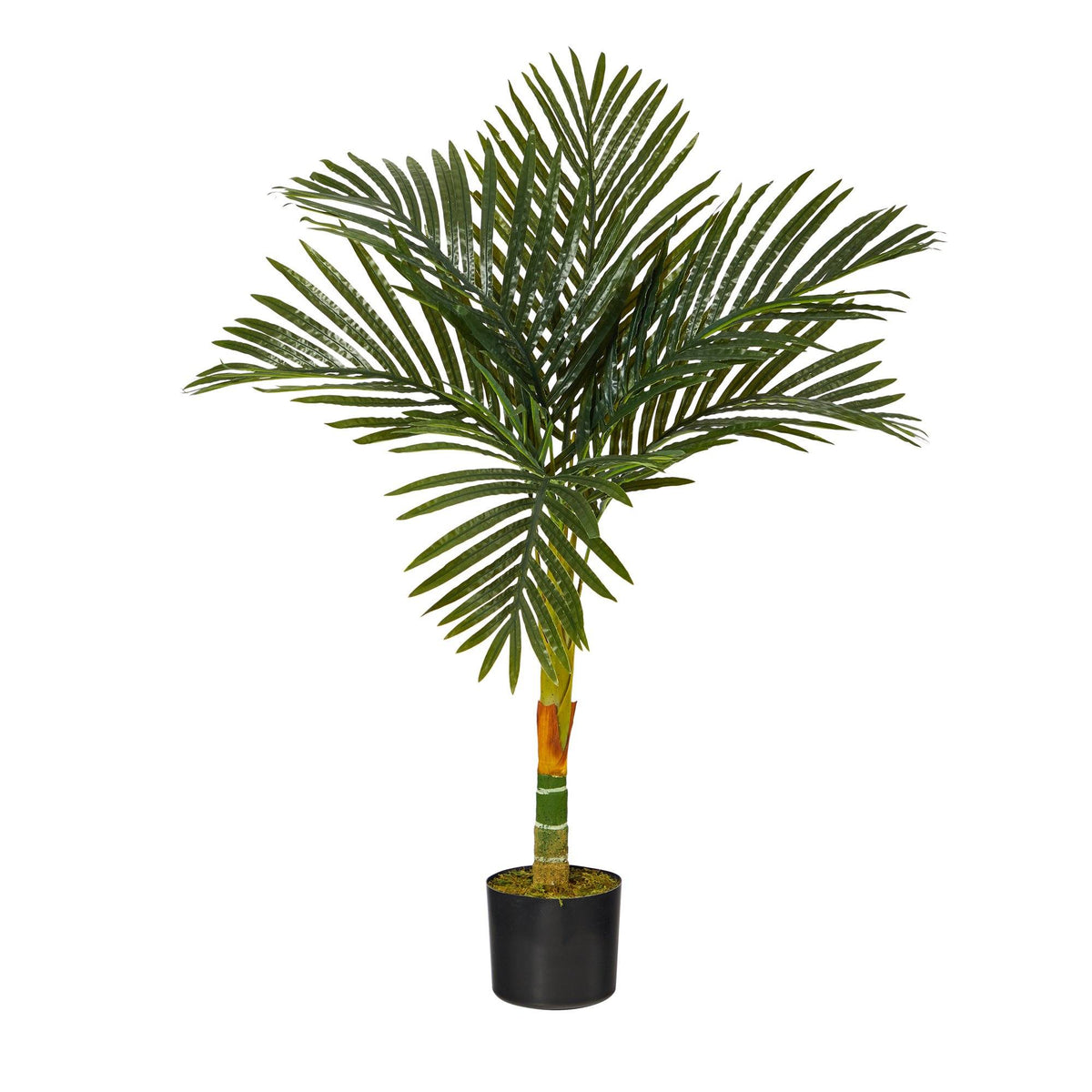 3’ Single Stalk Golden Cane Artificial Palm Tree Nearly Natural in a black pot with green fronds on Tampa Home & Garden Store