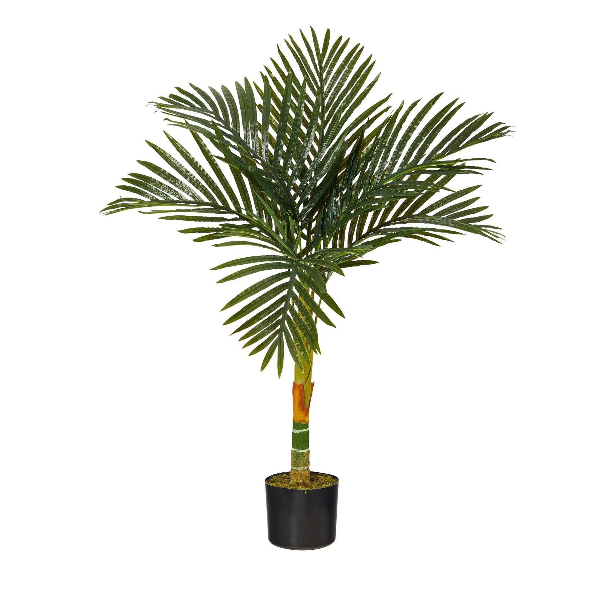 3’ Single Stalk Golden Cane Artificial Palm Tree Nearly Natural in a black pot with green fronds on Tampa Home & Garden Store