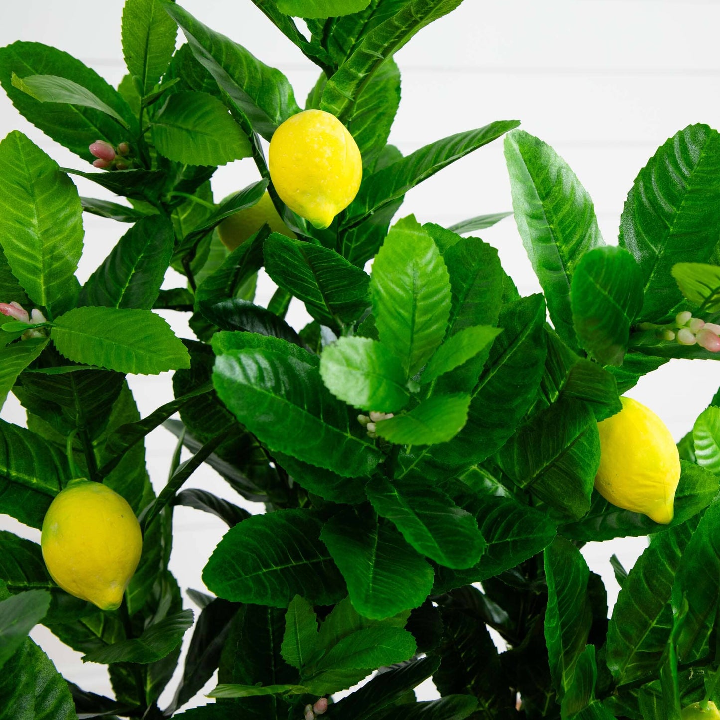 3’ Lemon Artificial Tree by Nearly Natural with bright yellow lemons and lush green leaves on Tampa Home & Garden Store
