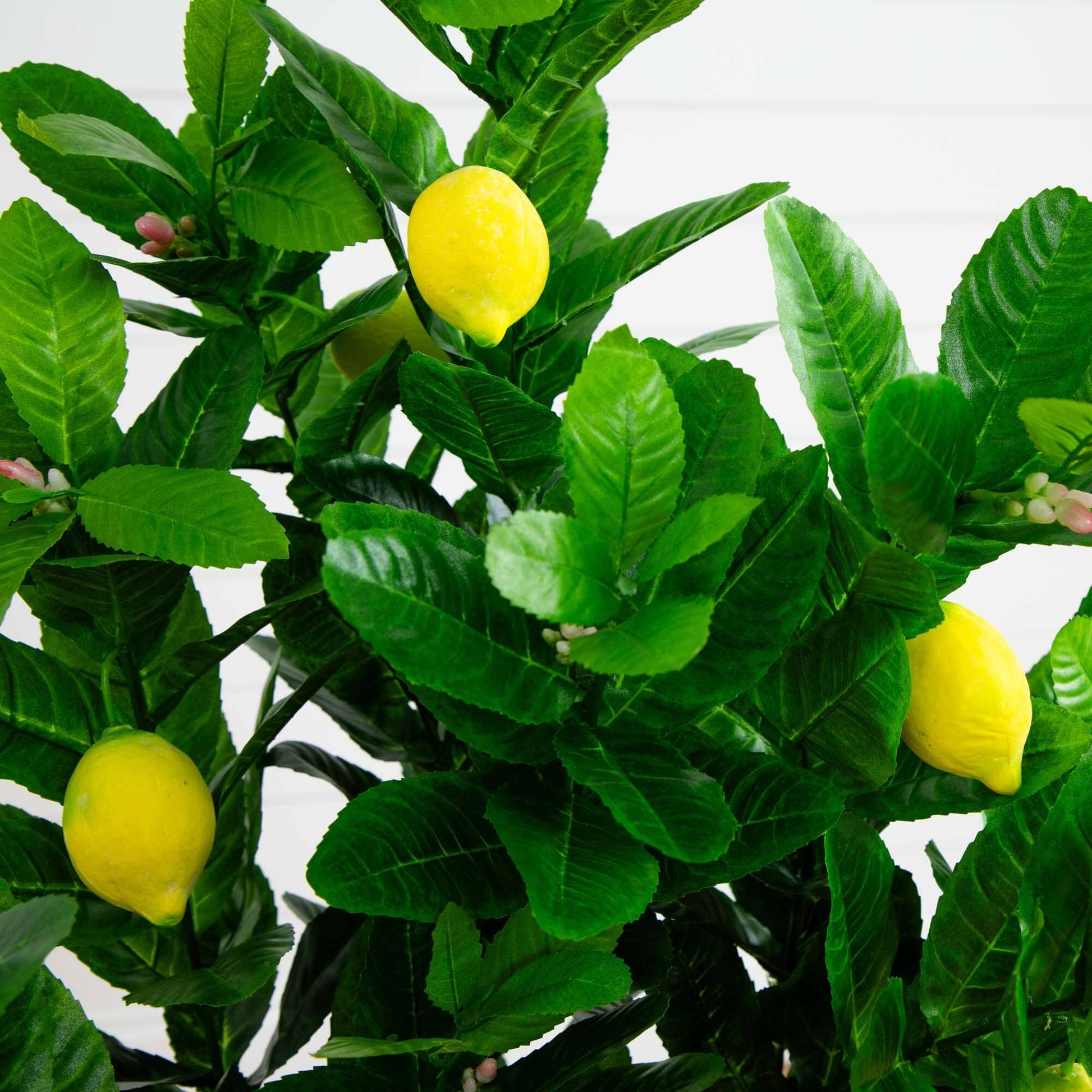 3’ Lemon Artificial Tree by Nearly Natural with bright yellow lemons and lush green leaves on Tampa Home & Garden Store