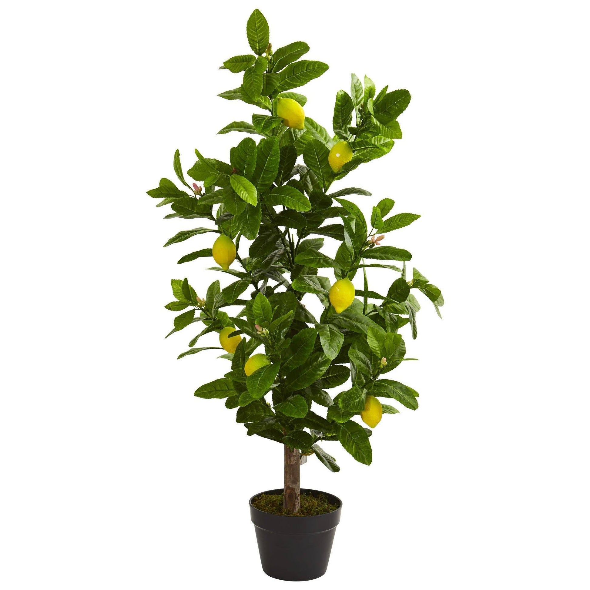 3 ft Lemon Artificial Tree with vibrant green leaves and bright lemons in a black pot on Tampa Home & Garden Store
